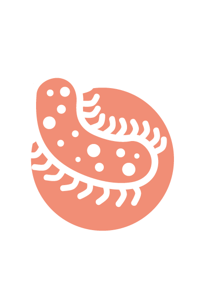 micro-organismo